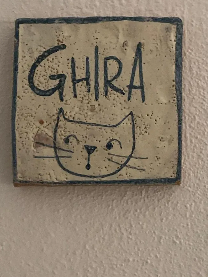 Villa La Gatta Cleo à Levanto Hébergement de vacances
