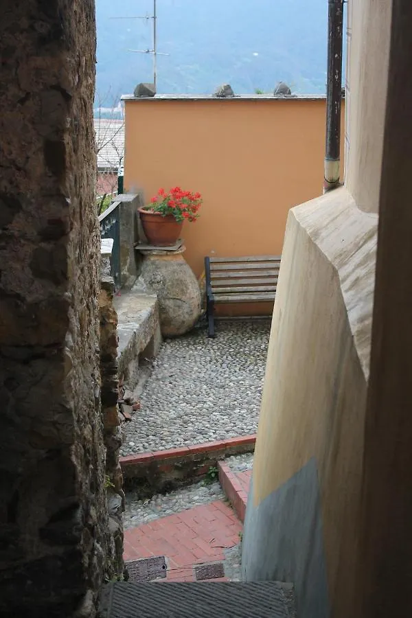 La Gatta Cleo Villa Levanto Nyaraló